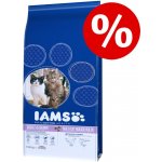 Iams for Vitality Cat Adult Indoor Chicken 10 kg – Zboží Mobilmania
