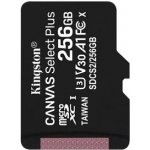 Kingston SDXC UHS-I U1 256 GB SDS2/256GB – Zbozi.Blesk.cz