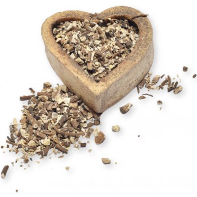 FITBOY Pampeliška kořen řez 100 g – Hledejceny.cz