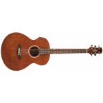 Ashton SL20EQ – Zboží Dáma