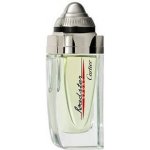 Cartier Roadster Sport toaletní voda pánská 100 ml tester – Sleviste.cz