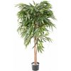 Květina Umělý strom Ficus longifolia - přírodní kmeny, 160cm