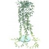 Květina Pryšec - Euphorbia závěsná zelená délka 89 cm (N327041)