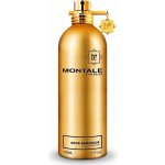 Montale Aoud Damascus parfémovaná voda unisex 100 ml – Hledejceny.cz