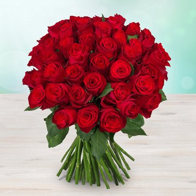 Rozvoz květin: Kytice 49 rudých luxusních růží - Mělník – Zboží Mobilmania