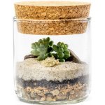 Gardners Skleněná váza Lipia s korkovým víčkem, výška 8 cm - osázené suchomilně – Hledejceny.cz