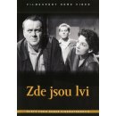 Zde jsou lvi DVD