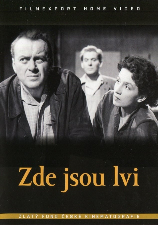 Zde jsou lvi DVD