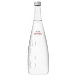 Evian Přírodní neperlivá minerální voda 12 x 0,75 l – Hledejceny.cz