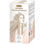 Terezia Company Kolagen + kyselina hyaluronová 120 ks – Zboží Mobilmania