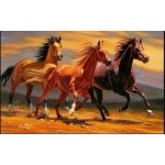 Norimpex Diamantové malování Tři hřebci 80 x 40 cm – Hledejceny.cz