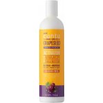Cantu Grapeseed Curl Activator Vlasový aktivátor pro kudrnaté vlasy 355 ml – Hledejceny.cz