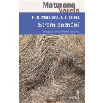 Strom poznání – Hledejceny.cz