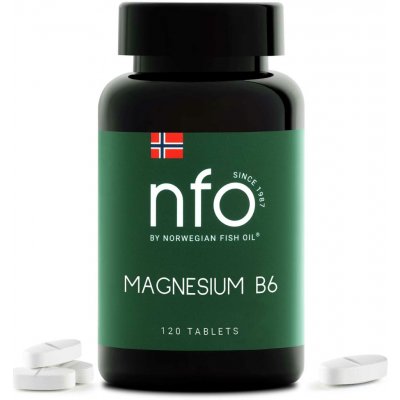 NFO Magnesium B6 120 tablet – Hledejceny.cz