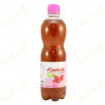 Stevikom Kombucha černý čaj Bio s malinou 0,5 l – Zboží Dáma