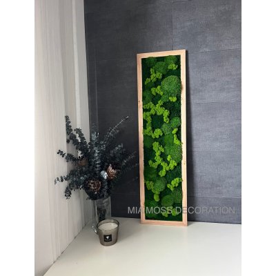Mia Moss decoration - MECHOVÝ OBRAZ 110x30cm - přírodní rám – Zboží Dáma