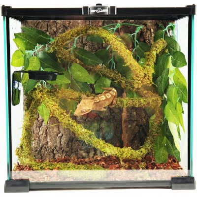 Repti Zoo liana s přírodním mechem 1,5 cm x 2 m – Zboží Dáma