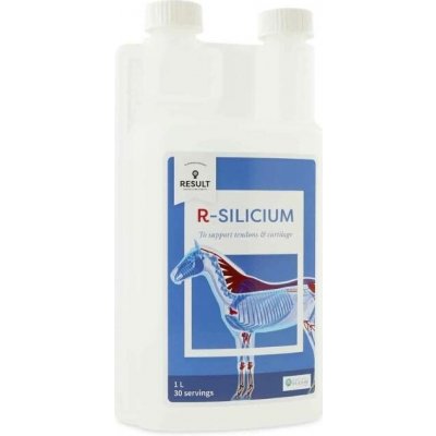 RESULT EQUINE R Silicium 1 l – Hledejceny.cz