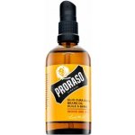 Proraso Wood and Spice olej na vousy 100 ml – Sleviste.cz