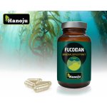 Hanoju Fucoidan Extrakt z hnědých řas 180 Veg kapslí – Hledejceny.cz