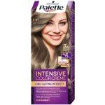 Palette Intensive Color 8-21 světlý popelavý plavý 50 ml – Sleviste.cz