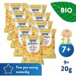 Salvest Ponn BIO mangové křupky 20 g – Hledejceny.cz