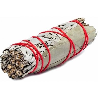 Nefertitis Šalvěj bílá a eukalyptus vykuřovací svazek NF31674 cca 10 cm – Zboží Dáma