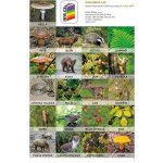 Sada pexesa Já a můj svět 2 – Hledejceny.cz