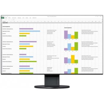 Eizo EV2451