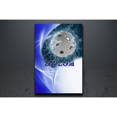 Diplom florbal D44/A4 – Zboží Dáma