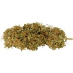 CBWEED CBD konopí Orange Haze 1% THC 2 g – Zboží Mobilmania