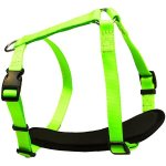 B&F Postroj popruh Neon – Zbozi.Blesk.cz