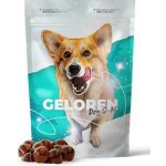 Geloren Dog S M 180 g – Zboží Dáma Geloren Dog S M 180 g – Zboží Dáma