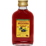 Včelařství M+M medovina dezertní borůvková 0,1 l – Sleviste.cz
