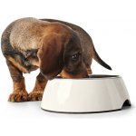 Hunter Miska Colore 1,4 l – Sleviste.cz