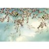 Tapety Komar 8-213 Papírové fototapety Sakura rozměr 368 cm x 254 cm