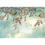 Komar 8-213 Papírové fototapety Sakura rozměr 368 cm x 254 cm – Hledejceny.cz