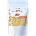 kii-baa organic hedvábná mořská houba 10-12 cm – Zboží Mobilmania