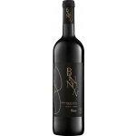 Bin Nun Barrel Reserve Cuvee 2023 Červené 14% 0.75 l (holá láhev) – Hledejceny.cz