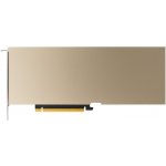 PNY A10 24GB GDDR6 TCSA10M-PB – Hledejceny.cz