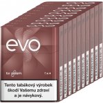 Camel Tan karton – Sleviste.cz