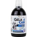 Orling Chondrocan Forte Biosol 500 ml – Hledejceny.cz