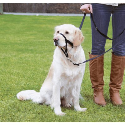 Trixie TOP TRAINER výcviková ohlávka M – Zboží Dáma Trixie TOP TRAINER výcviková ohlávka M – Zboží Dáma