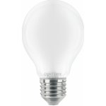 CENTURY LED FILAMENT HRUŠKA SATÉN 12W E27 6000K 1521Lm 360d IP20 CEN INSG3-122760 – Hledejceny.cz