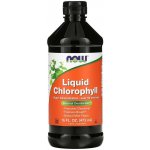 Now Foods Liquid Chlorophyll & Mint tekutý chlorofyl 473 ml – Hledejceny.cz