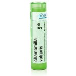 CHAMOMILLA VULGARIS POR 5CH GRA 1X4G – Hledejceny.cz