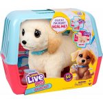 LITTLE LIVE PETS Pejsek Cooper Veterinář Interaktivní PLYŠOVÁ HRAČKA 50 Zvuků – Zboží Mobilmania