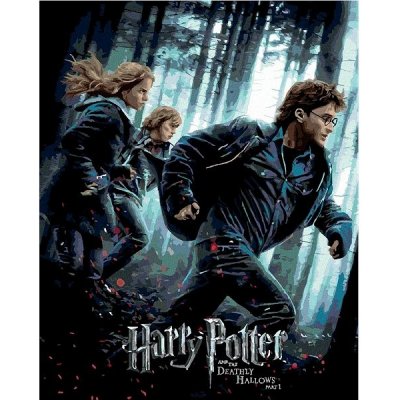 Zuty Malování Podle Čísel Plakát Harry Potter A Relikvie Smrti Na Útěku 40 x 50 Cm Plátno Rám – Sleviste.cz