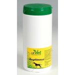 cdVet Bylinkový Dogfitnes 600 g – Hledejceny.cz