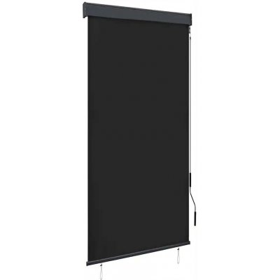 VidaXL Venkovní roleta, 100 x 250 cm, antracitová – Sleviste.cz